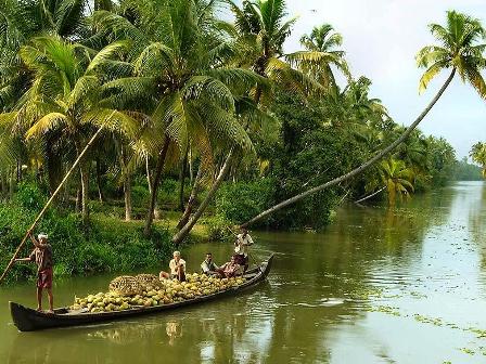Hotel listing, hotel booking Kerala Alleppey