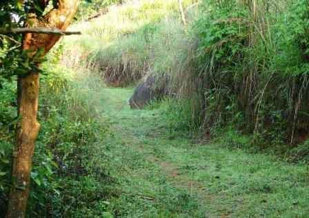 Hotel listing, hotel booking Kerala Idukki