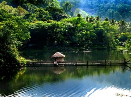 Hotel listing, hotel booking Kerala Thattekkad