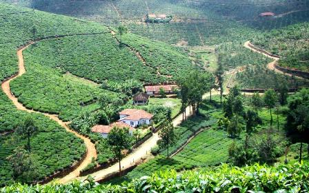 Hotel listing, hotel booking Kerala Vagamon