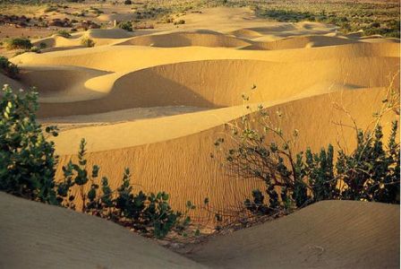Hotel listing, hotel booking Rajasthan Luni