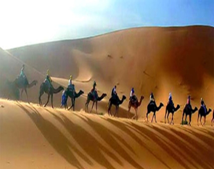 Hotel listing, hotel booking Rajasthan Manvar