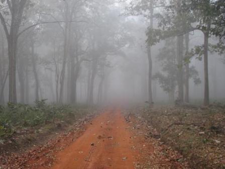 Hotel listing, hotel booking Karnataka Kabini