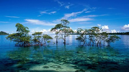 Hotel listing, hotel booking Andaman and Nicobar Islands Port Blair