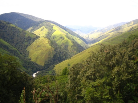 Hotel listing, hotel booking Arunachal Pradesh Anini