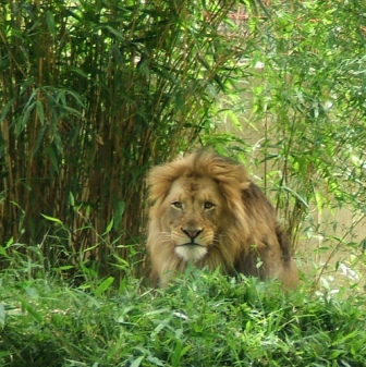 Hotel listing, hotel booking Dadra and Nagar Haveli Khanvel