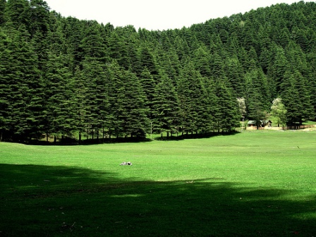 Hotel listing, hotel booking Himachal Pradesh Khajjiar