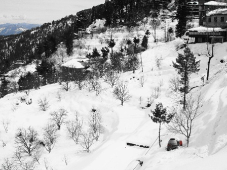 Hotel listing, hotel booking Himachal Pradesh Kufri