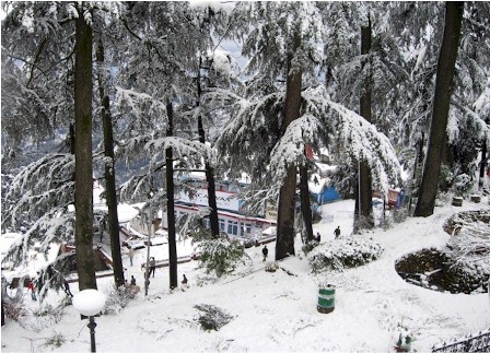 Hotel listing, hotel booking Himachal Pradesh Shimla