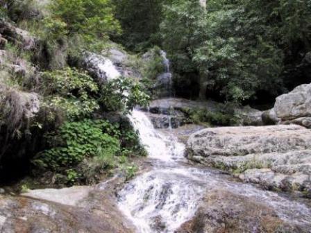 Hotel listing, hotel booking Jharkhand Ranchi