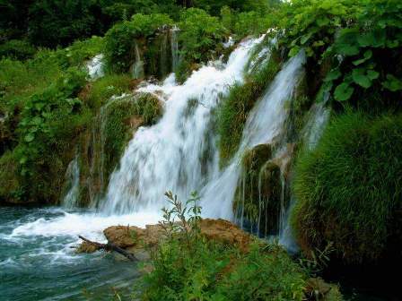 Hotel listing, hotel booking Meghalaya Cherrapunjee