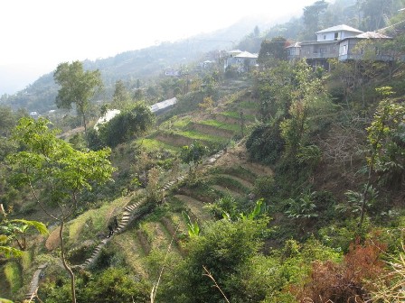 Hotel listing, hotel booking Mizoram Kolasib