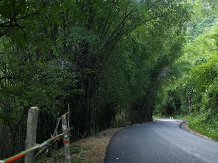 Hotel listing, hotel booking Tamil Nadu Yercaud