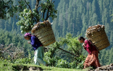 Hotel listing, hotel booking Uttarakhand Champawat