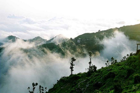 Hotel listing, hotel booking Uttarakhand Dhanaulti