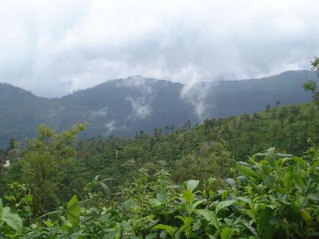 Hotel listing, hotel booking Kerala Ponmudi