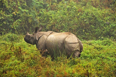 Hotel listing, hotel booking West Bengal Dooars