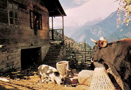 Hotel listing, hotel booking Sikkim Mangan