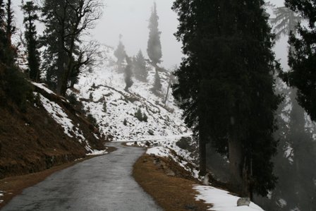 Hotel listing, hotel booking Himachal Pradesh Sohja