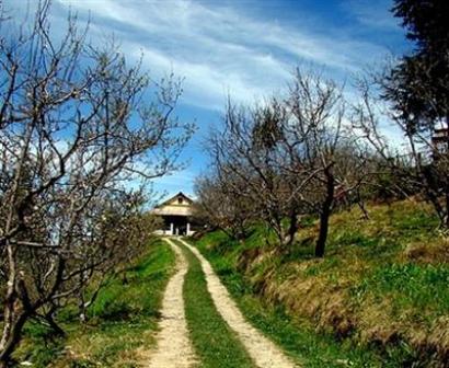 Hotel listing, hotel booking Himachal Pradesh Thanedar