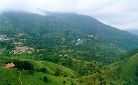 Hotel listing, hotel booking Himachal Pradesh Kandaghat