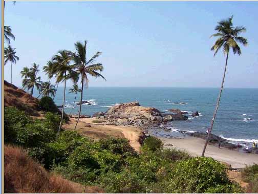 Hotel listing, hotel booking Goa Divar Island