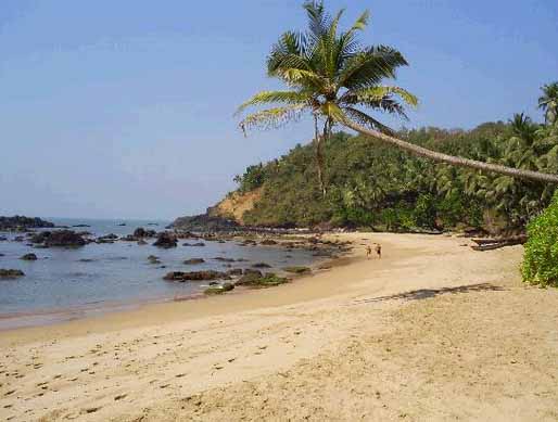 Hotel listing, hotel booking Goa Arpora