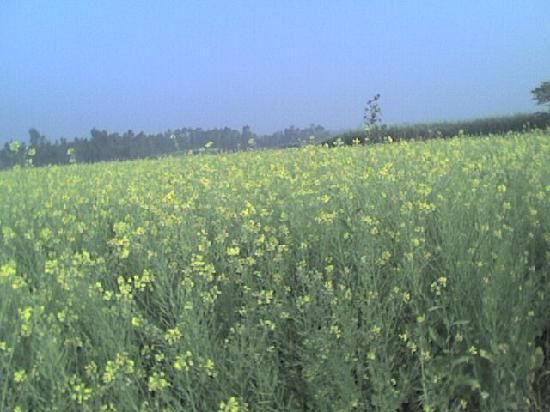 Hotel listing, hotel booking Uttarakhand Kashipur