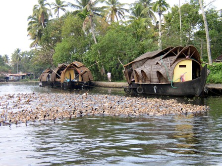 Explore Hotels in Kerala