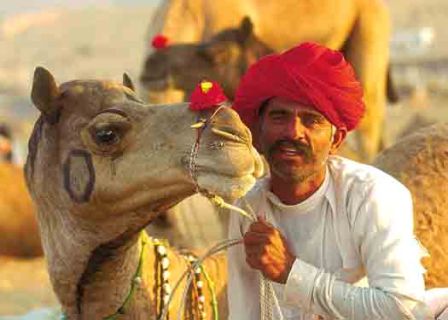 Explore Hotels in Rajasthan