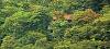 Kerala ,Periyar, Rainforest Resort booking