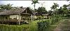 Kerala ,Thattekkad, Hornbill Camp booking
