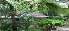 Kerala ,Wayanad, Herbal Nest booking