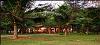 Tamil Nadu ,Mahabalipuram, Mamalla Beach Resort booking