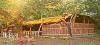 Karnataka ,Bandipur, Tiger Ranch booking