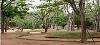 Karnataka ,Bannerghatta, Bannerghatta Nature Camp booking