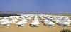 Rajasthan ,Pushkar, Royal Desert Camp booking
