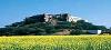 Rajasthan ,Alwar, Hill Fort booking