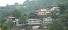 Himachal Pradesh ,Kasauli, Winnies Holiday Inn booking
