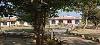 Madhya Pradesh ,Kanha, Mogli Resort booking