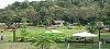 Gujarat ,Baroda / Vadodara, Vananchal Jungle Resort (75kms from Baroda) booking