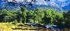 Uttarakhand ,Corbett, Camp Forktail Creek  booking