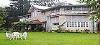 Uttarakhand ,Ranikhet, Chevron Rosemount Resort booking