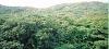 Maharashtra ,Dapoli / Harnai, Surali Jungles booking