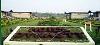 West Bengal ,Gorumara, Hotel Dynasty booking