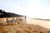 Maharashtra ,Manor, Palm Beach Resort booking