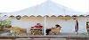 Maharashtra ,Ghodbunder, Hotel Haveli Inn booking