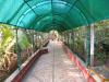 Maharashtra ,Dive Agar, AnandYatri booking
