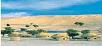 Hotel booking Rajasthan
