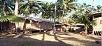 Hotel booking Goa